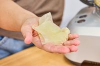 A person holds up cheese sliced in the Breville BFP660SIL Sous Chef 12-Cup Food Processor