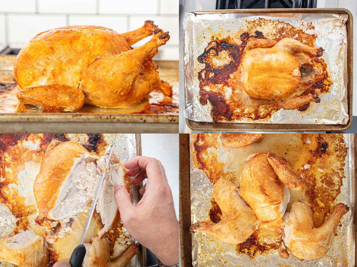 Steps to prepare and carve a roasted chicken on a baking pan