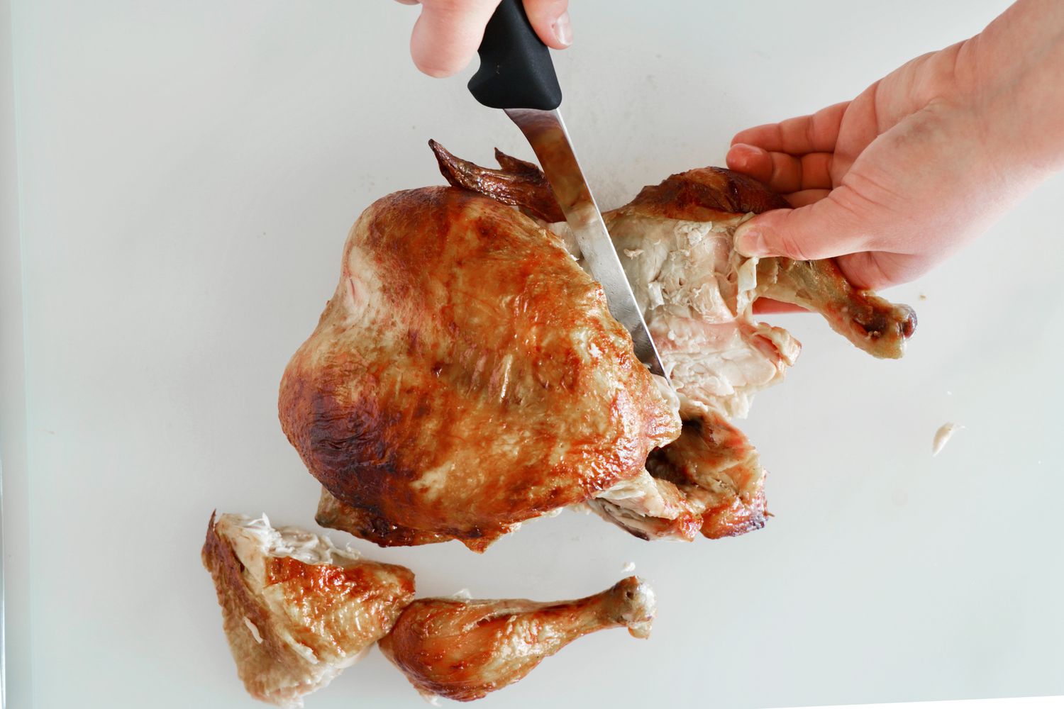 holding the victorinox boning knife and cutting a chicken