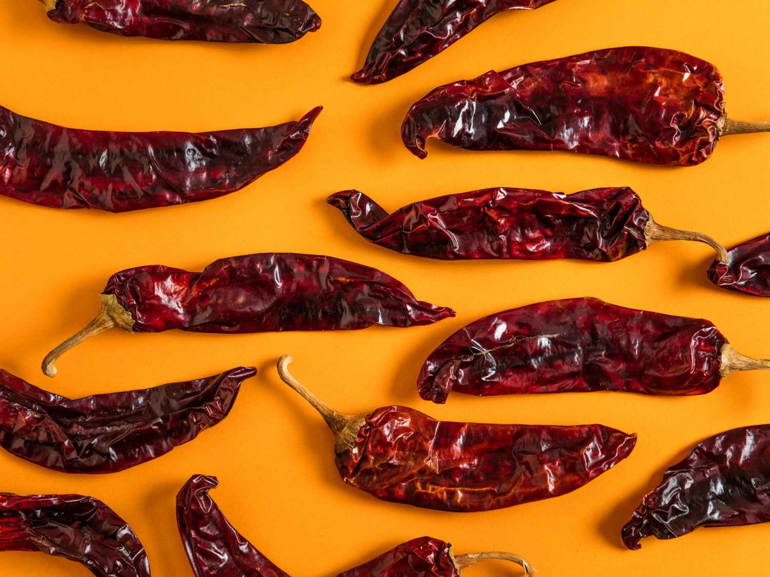 Rows of crinkly red guajillo chilies on an orange background