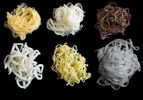 Six different Asian noodle types on a black background