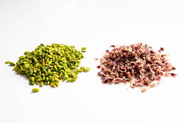 20190520-how-to-blanch-pistachios-vicky-wasik-15