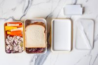 Takenaka Bento Bite Dual with food in it 