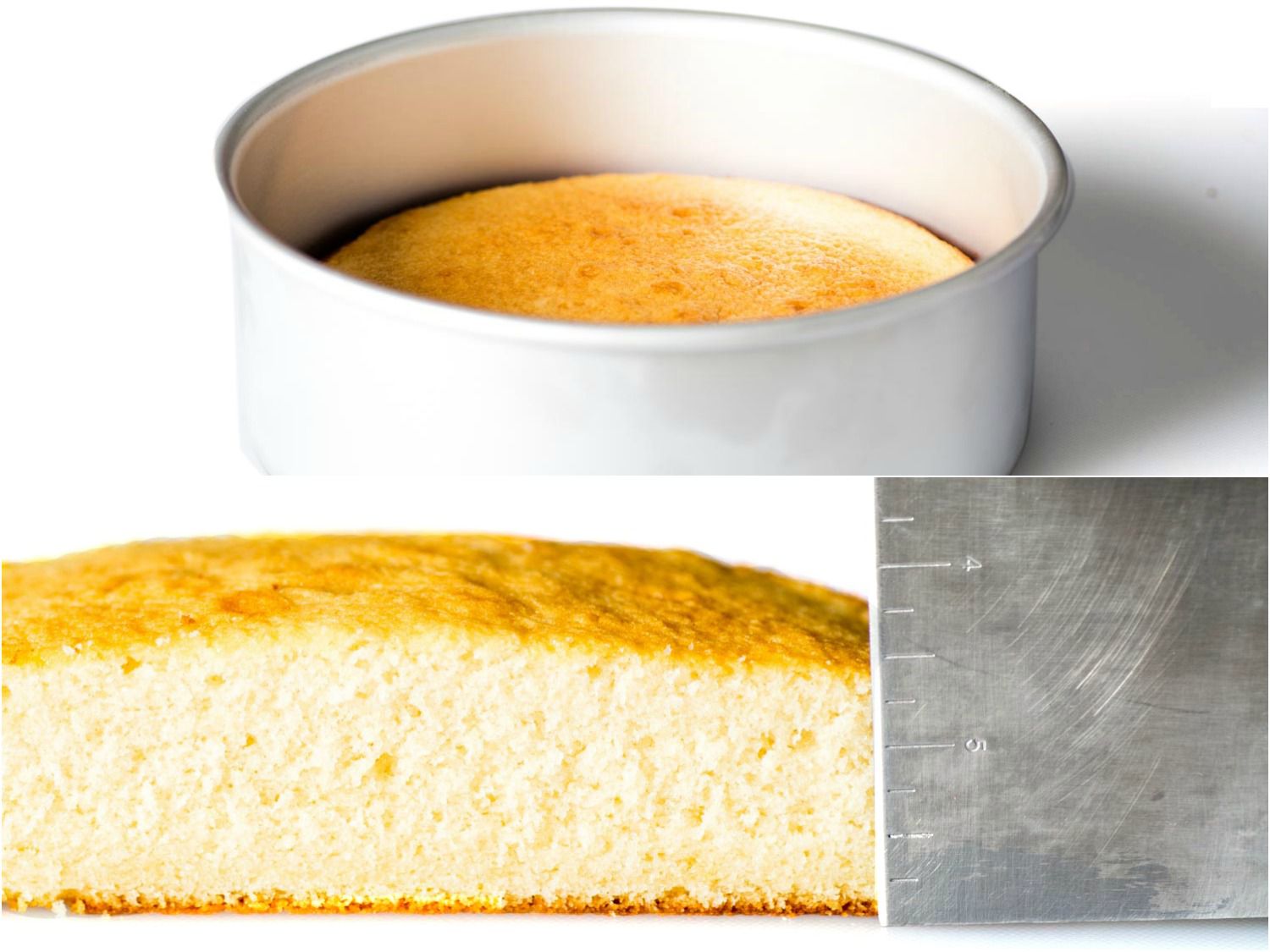 Vanilla cake in a pan, a cross-section of the cooked cake, as well as a ruler measuring the thickness