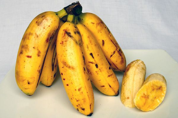 Bananas