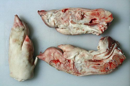 Three raw pigs feet resting on a white surface