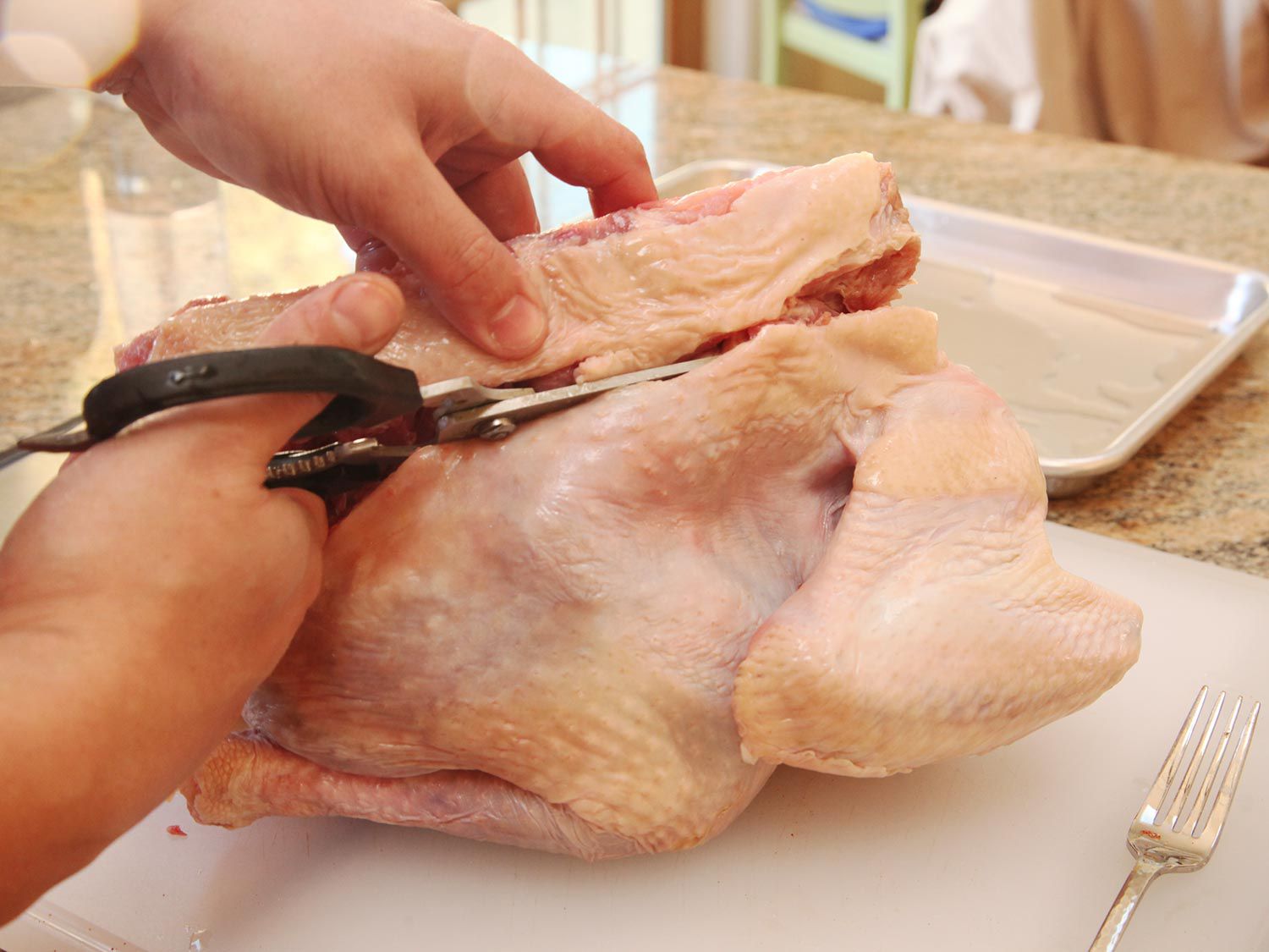 Author cutting along the backbone of a whole turkey with kitchen shears.