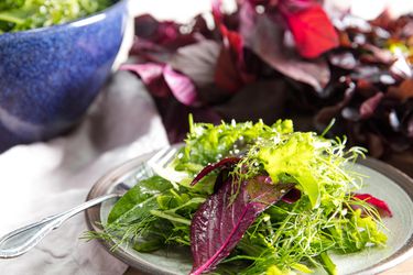 Roman-inspired mixed green salad