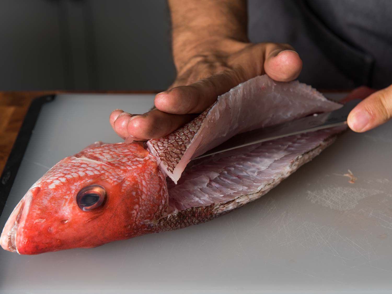 Filleting a snapper