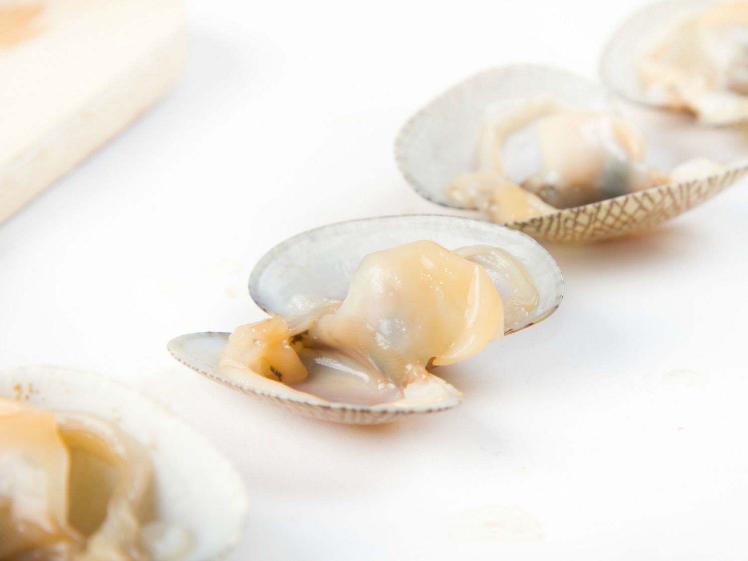 A line of open shucked clams on a white surface.