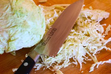 20100708-cabbage.jpg