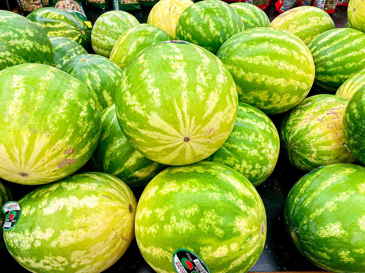 Side view of watemelons