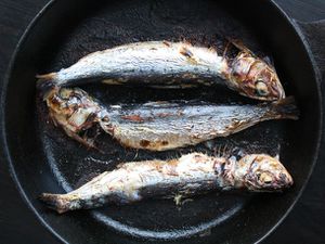 20120110-186097-nasty-bits-sardines-pan-primary.jpg