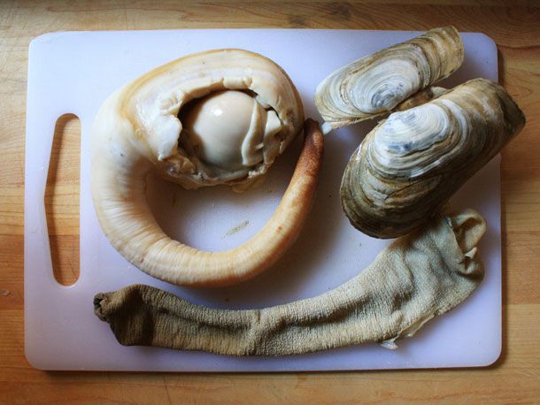 raw geoduck on a cutting board