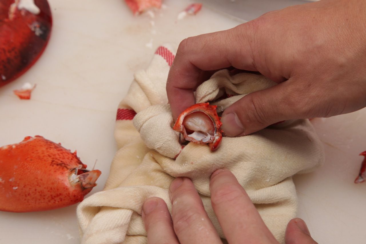 Exposing the meat inside a detached lobster knuckle