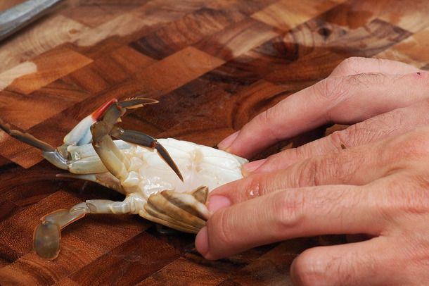 A hand holding a female soft-shell crab on a wooden cutting board and pulling at the wide apron underneath