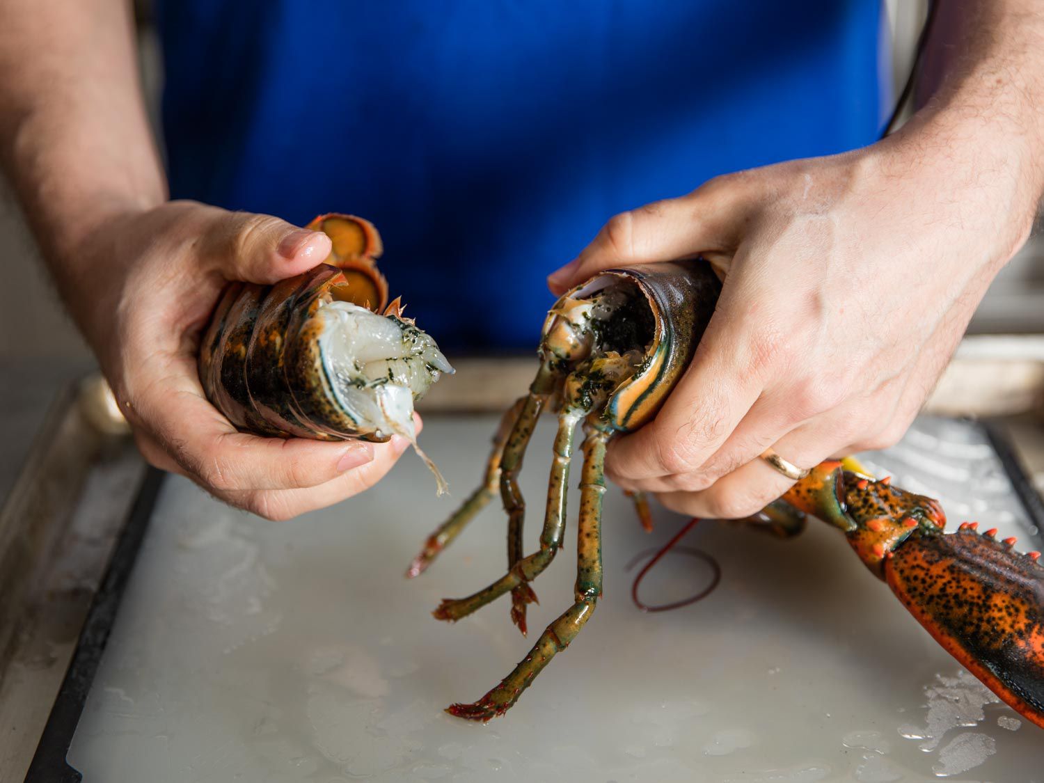 A dispatched, raw lobster's tail being twisted from its body.