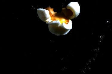 20110221-modernist-cuisine-popcorn.jpg