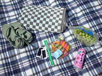 a picnic of sushi, grapes, and watermelon water on a fleece picnic blanket
