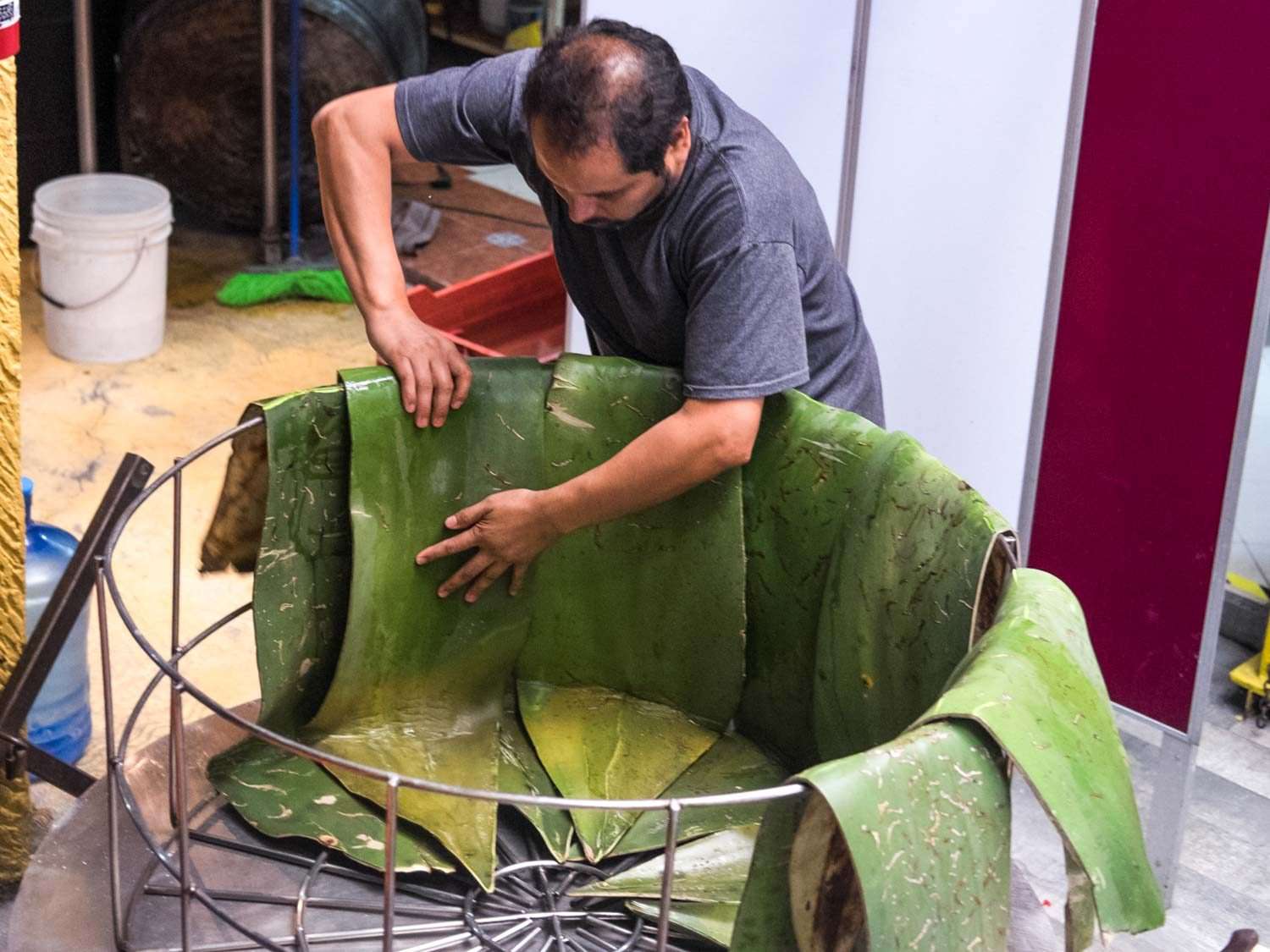 A man folding large maguey leaves into a wire-frame basket, to be lowered into the barbacoa oven.