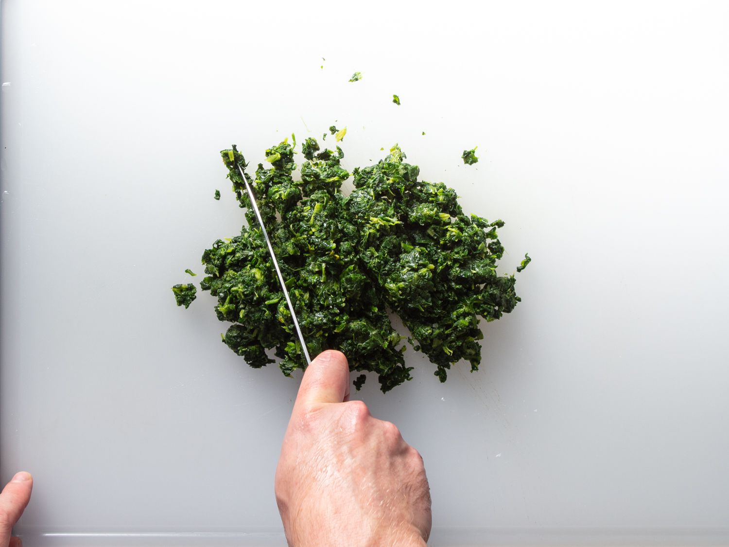 chopping cooked spinach to add to gnudi
