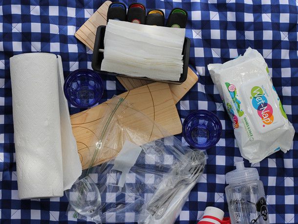 Paper napkins, paper towels, a package of wet-naps, utensils, and small cutting boards laid out on a blue and white checkered picnic blanket. 