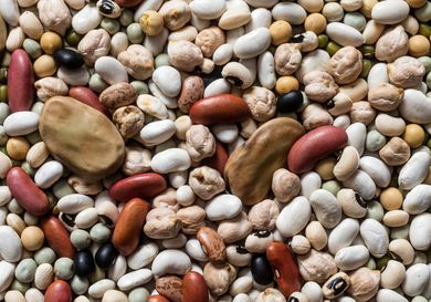 20160707-legumes-vicky-wasik-primary.jpg