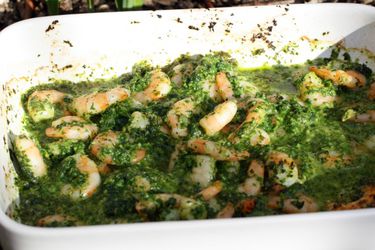 20120222ShrimpGreenSauce.jpg