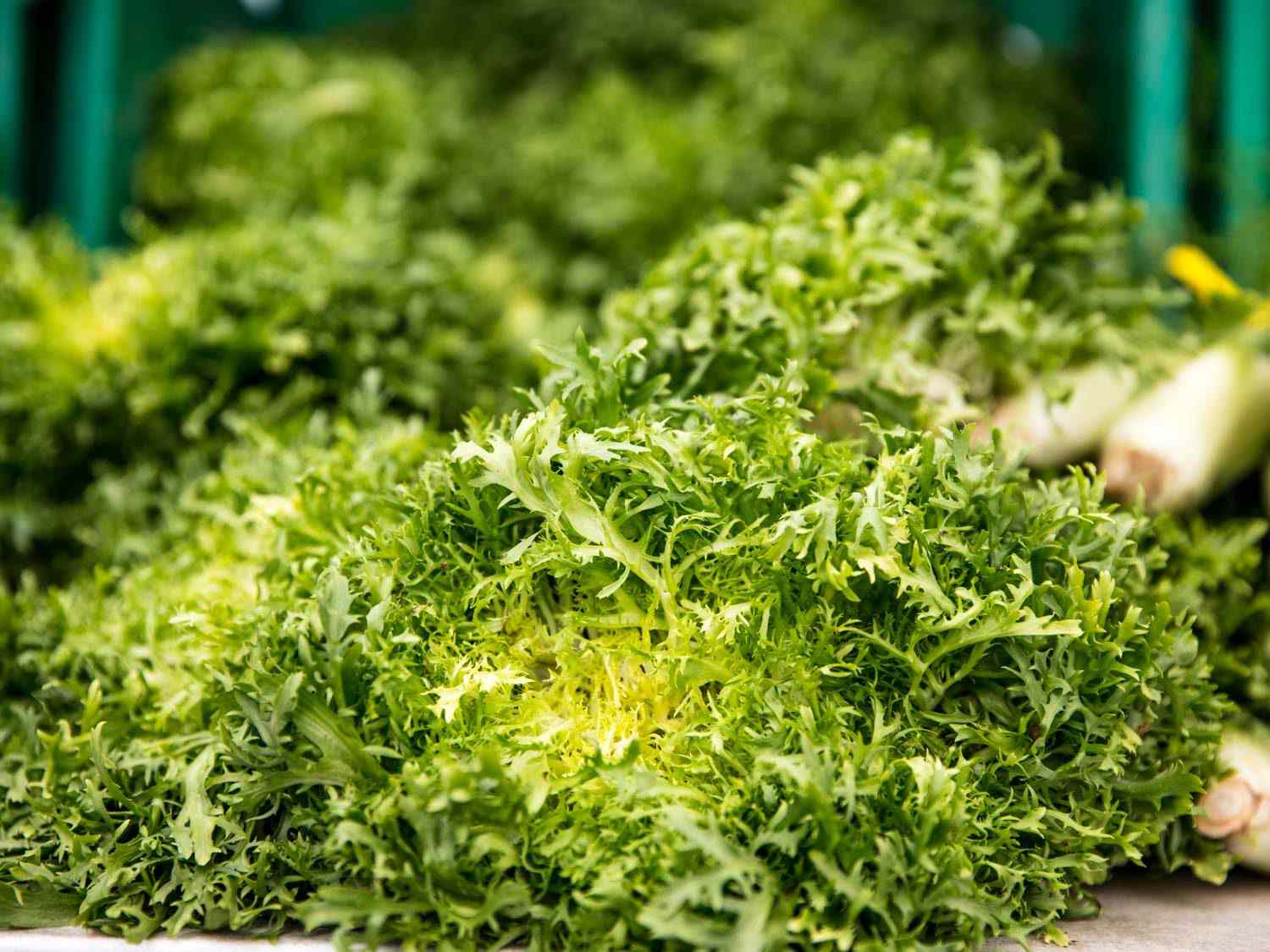 Bunches of leafy greens on a display table at the Willow Wisp farmers market stand
