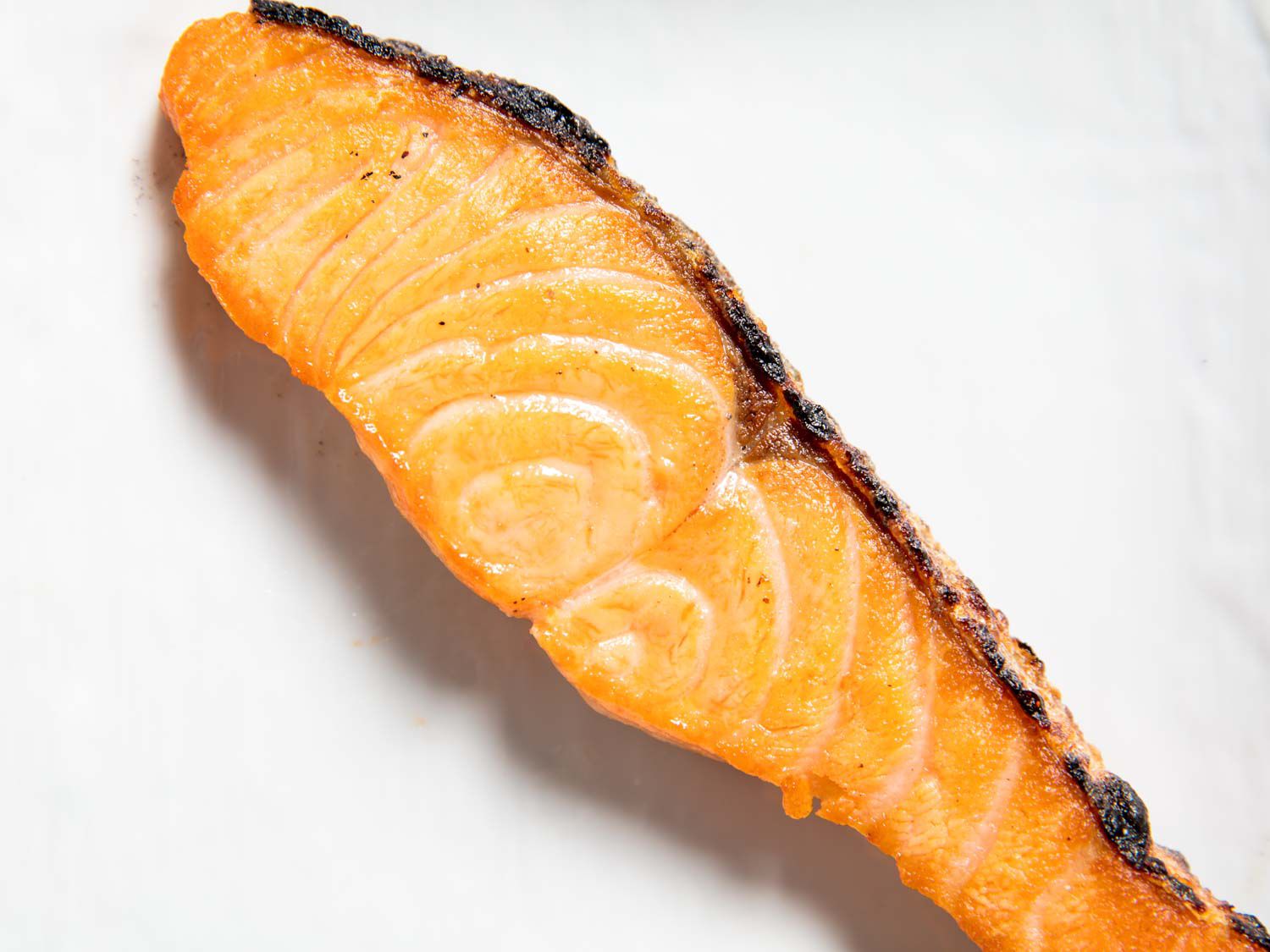 Closeup of a cooked slice of Japanese-style salted salmon on a white background.
