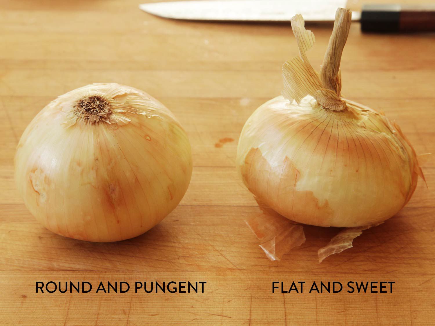 Two white onions resting on a cutting board with the words, "round and pungent" under the left one and "flat and sweet" under the right onion.