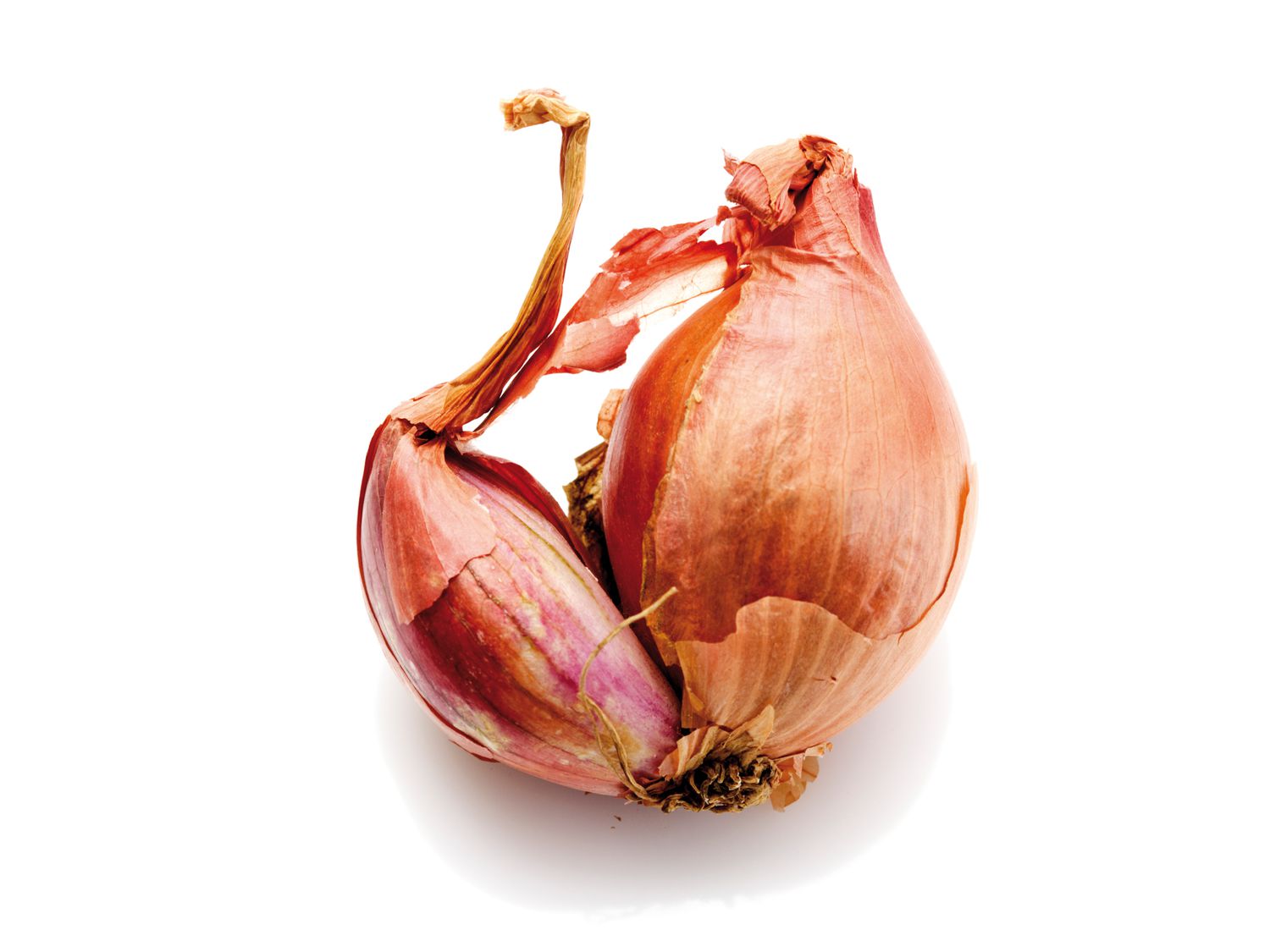 Shallots