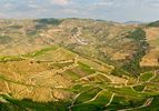Thumbnail image for portugal douro valley