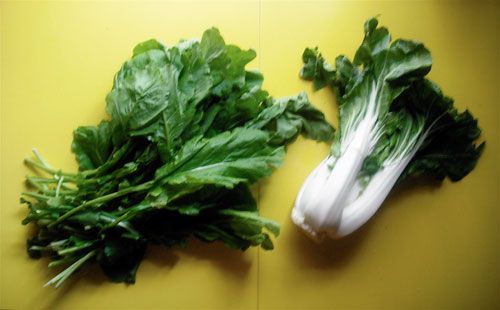 Asian leafy greens that are good for stir-frying. 