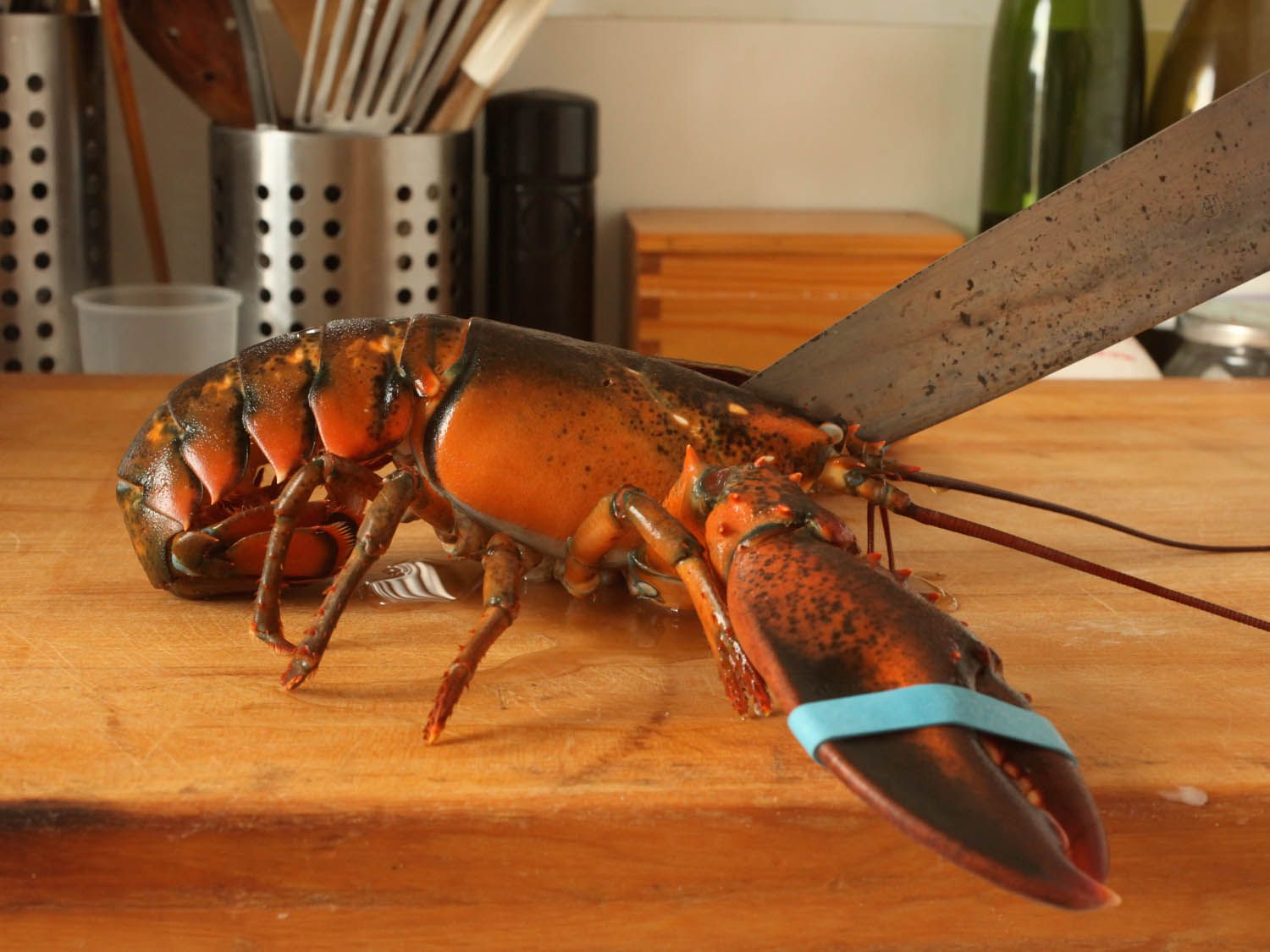 Splitting live lobster in half with a chef's knife.