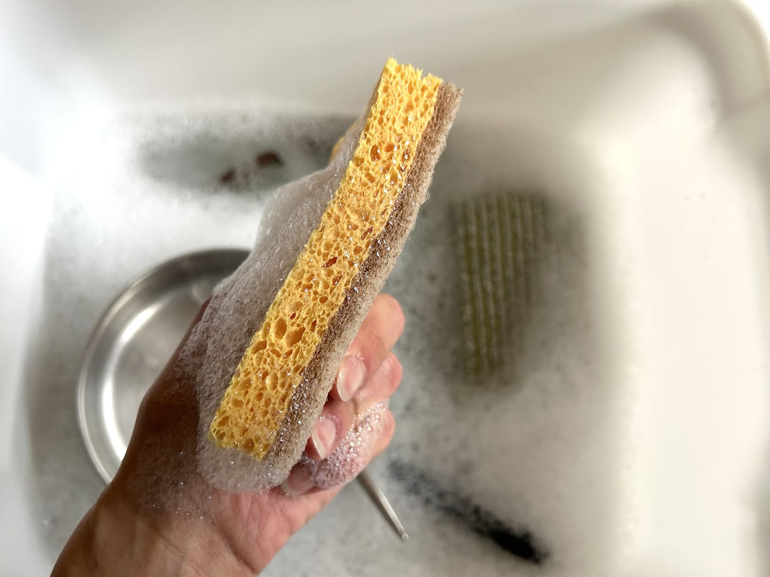 A person holds a soapy dishwashing sponge.