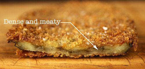 A fried slice of eggplant is sliced to show its interior. The eggplant flesh is labeled: "Dense and meaty."
