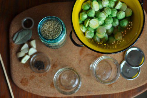 20120102-185976-spices-for-pickled-sprouts.jpg