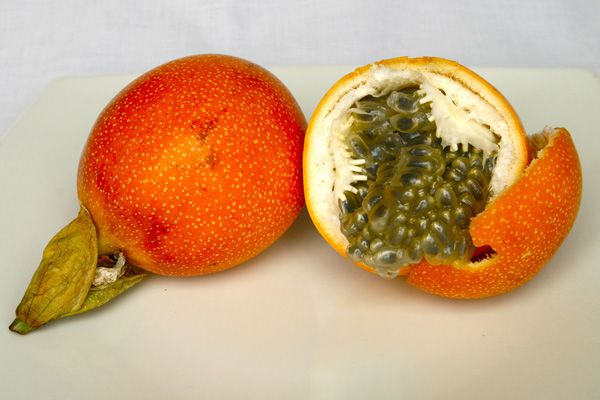 Granadilla
