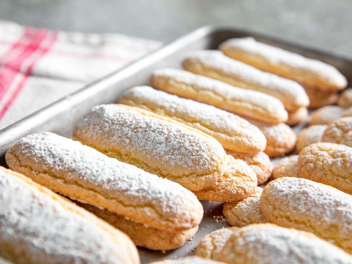 Homemade ladyfinger cookies on a rimmed baking sheet.