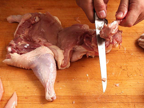 Cutting away bits of connective tissue at the knee