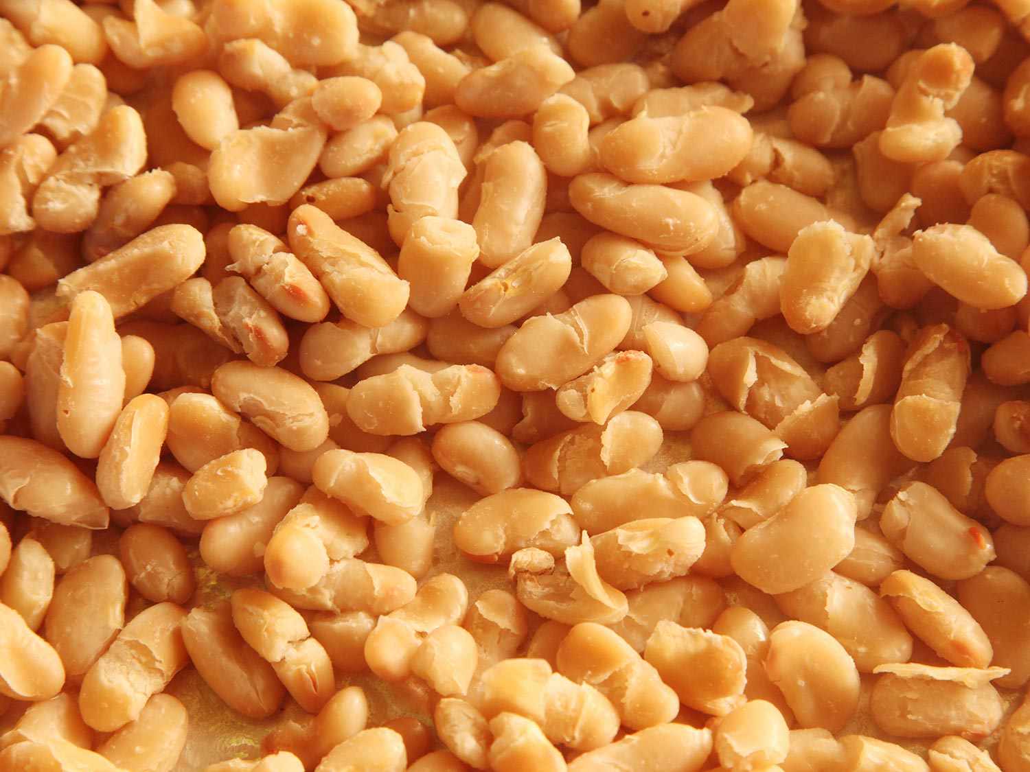 Roasted cannelini beans.