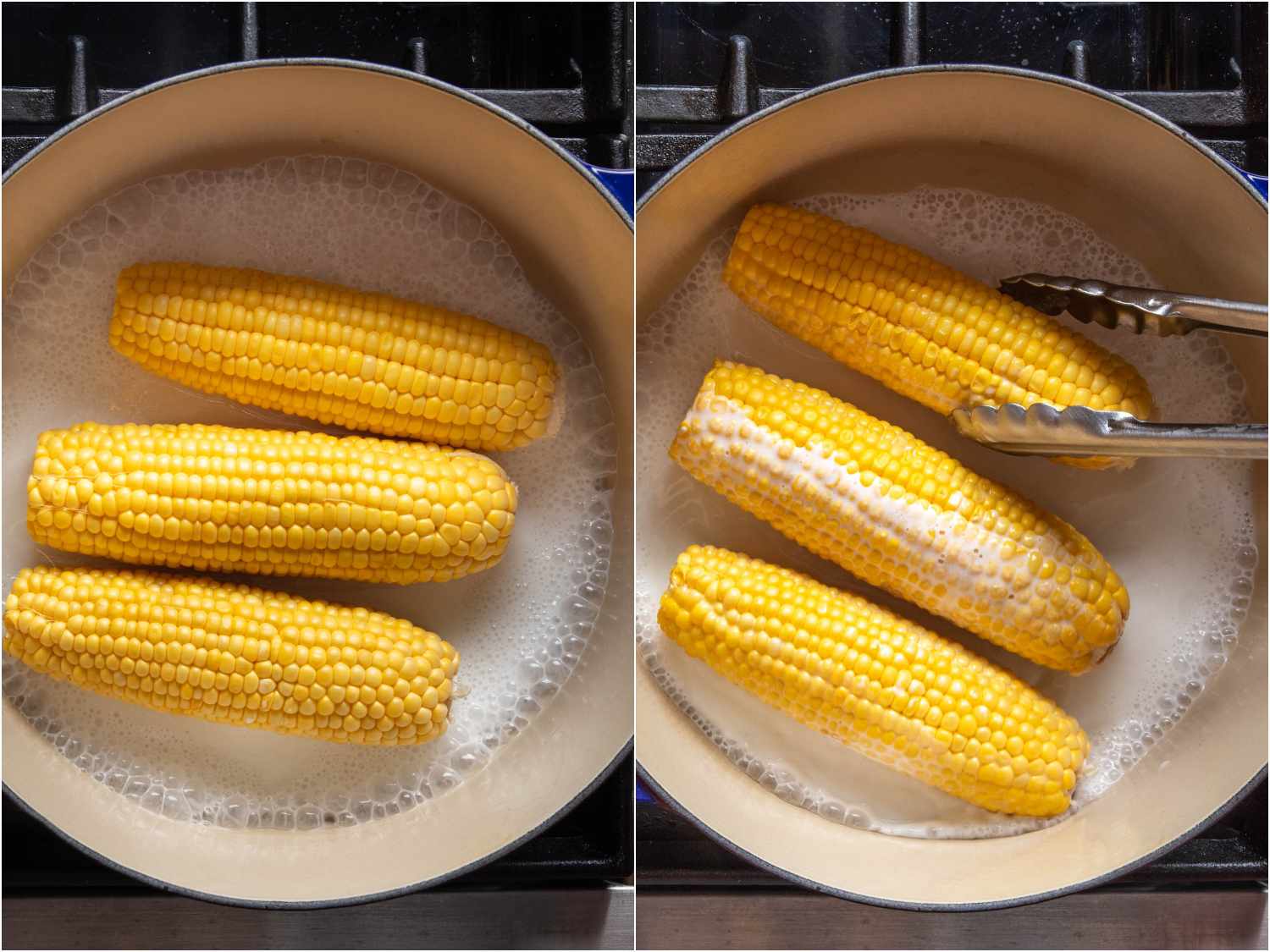 Simmering ears of corn in coconut milk in a Dutch oven.