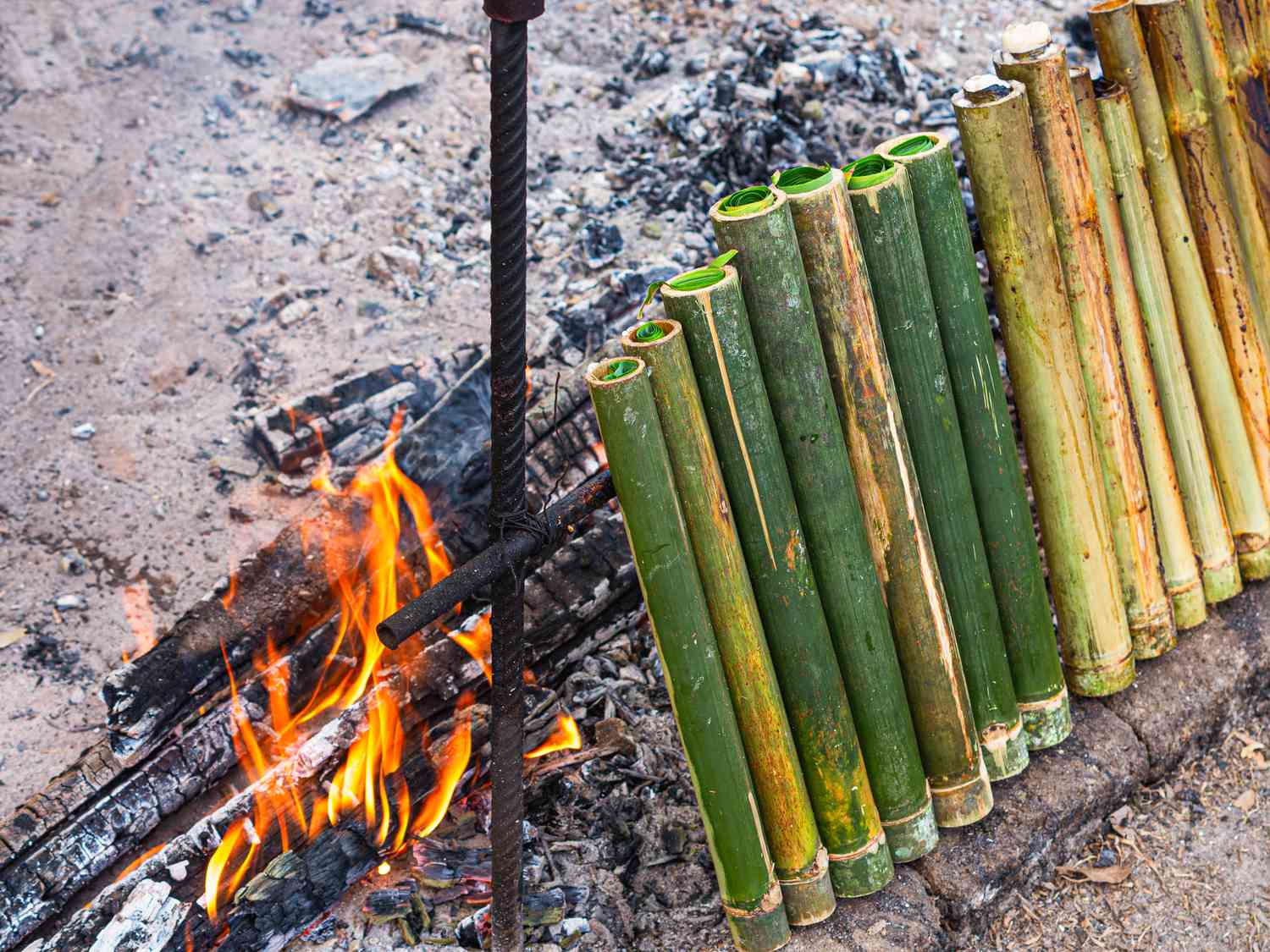 Side view of bamboo calum cooking against flames