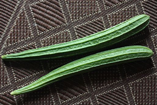 Two slender, ribbed luffa gourds placed on a woven table covering.