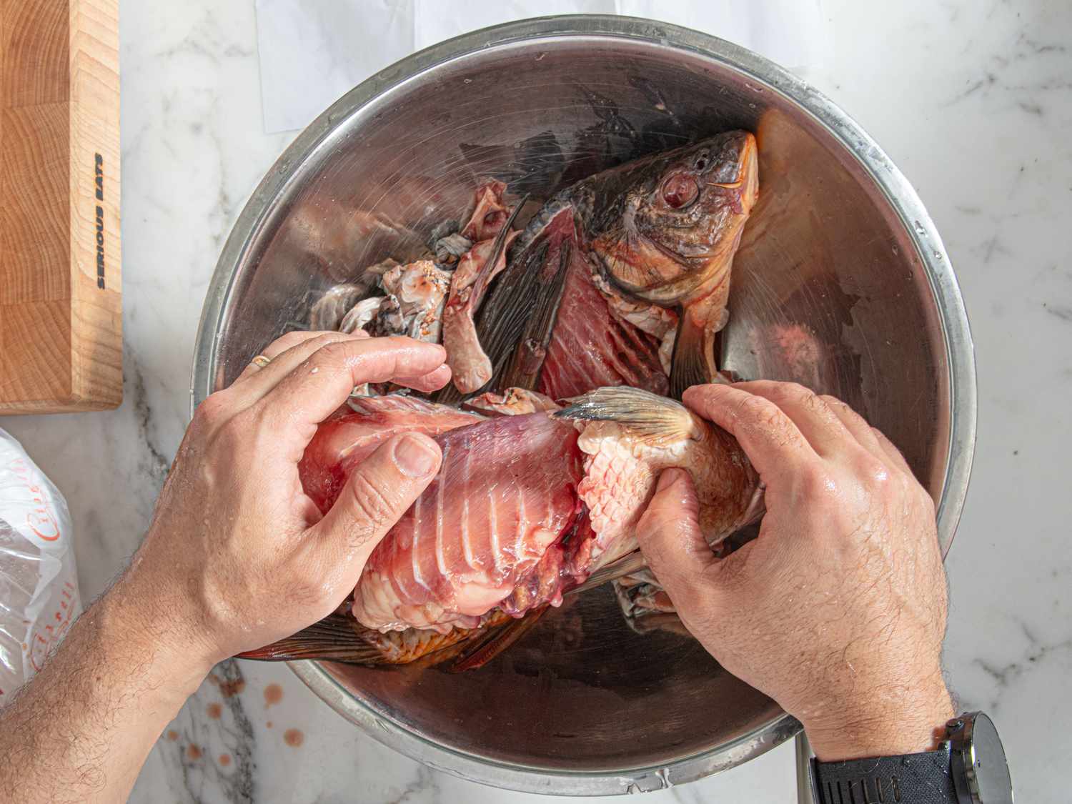 Overhead view of fish