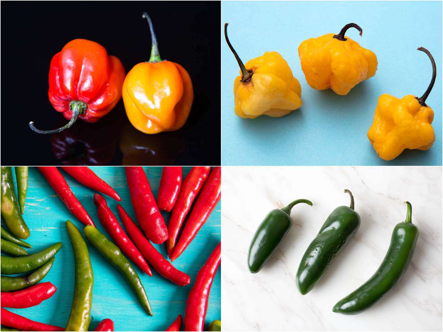 Collage of habanero peppers, Scotch bonnet peppers, Thai chile peppers, and jalapeño peppers.