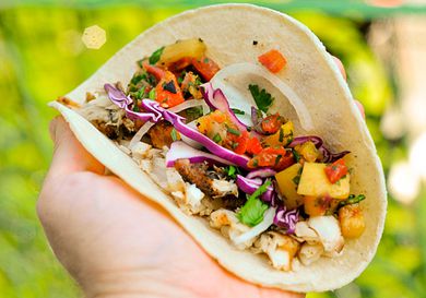 A grilled tilapia taco with sliced cabbage, mango salsa, and cilantro. 