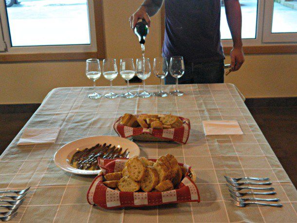 Txakoli and Anchovies