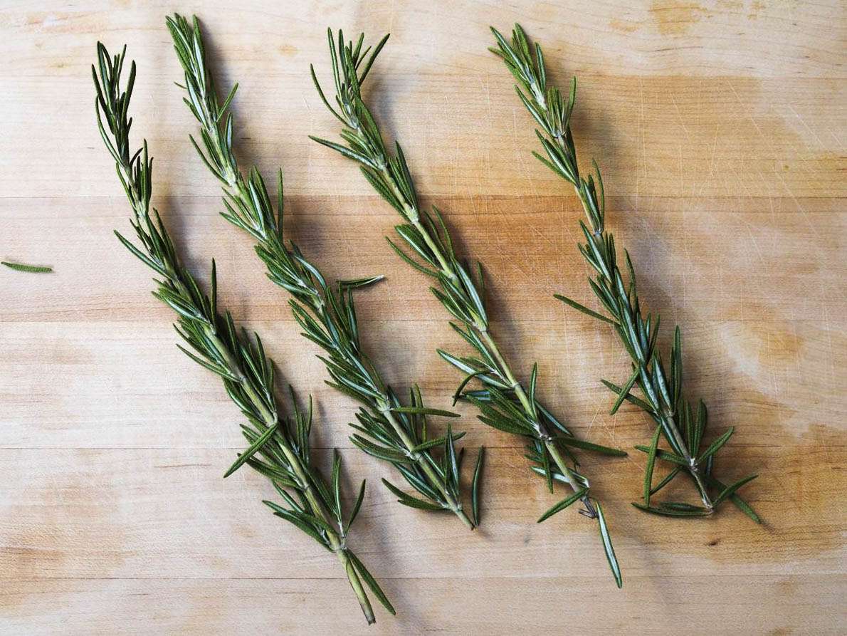 Four sprigs of rosemary on a wood table. 